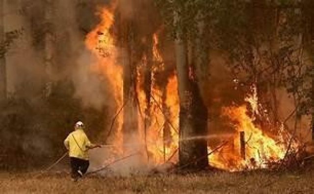 حرائق الغابات بأستراليا
