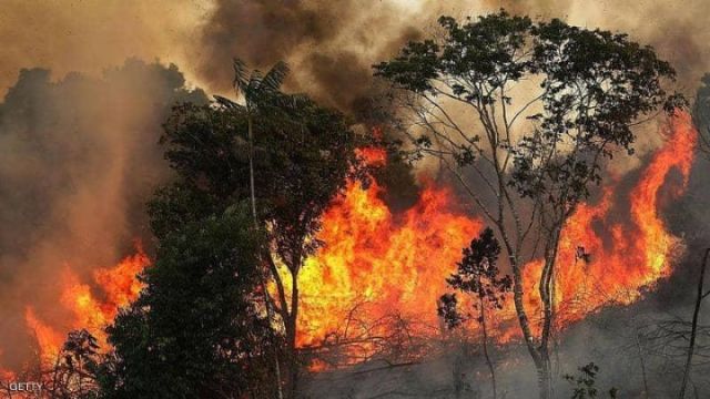 حرائق الغابات في أستراليا