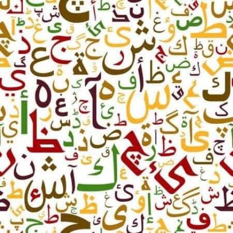 ارشيفية