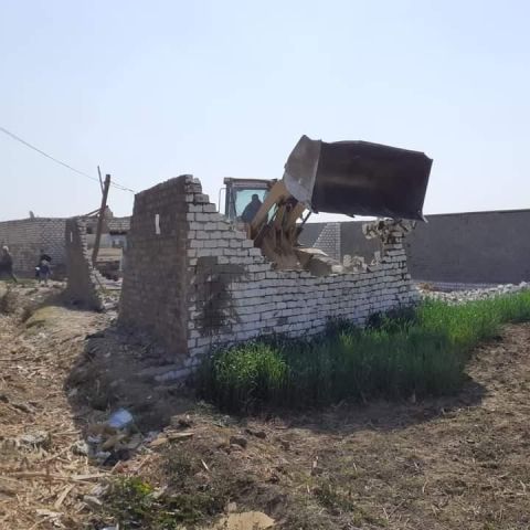 محافظة الدقهلية وتوزيع الكراتين 