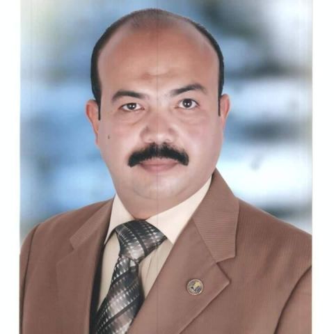 توريد محصول القمح 