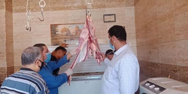 محافظ القاهرة يتفقد المجزر النصف آلي