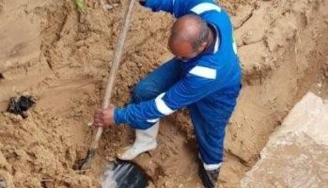 جامعة طنطا تواصل عمليات التطهير 