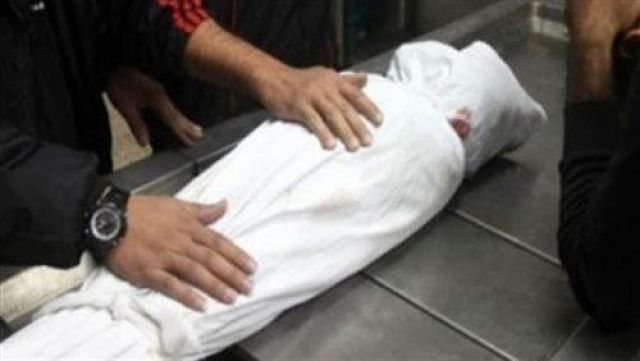 حملة مكبرة على مجازر اللحوم بأسوان