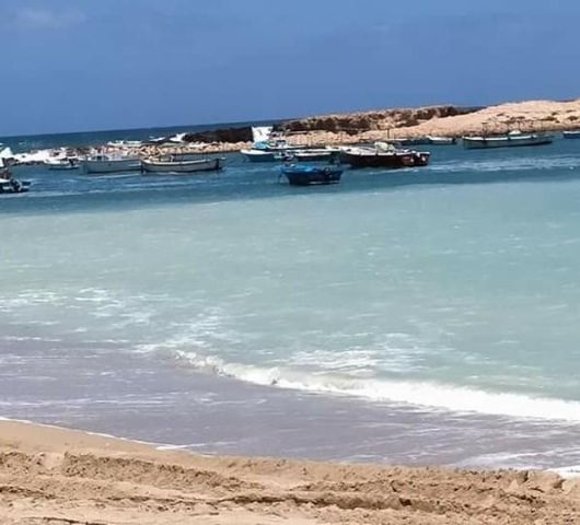 الأستاذ الدكتور محمد عوض تاج الدين