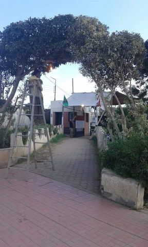 صورة ارشيفية 