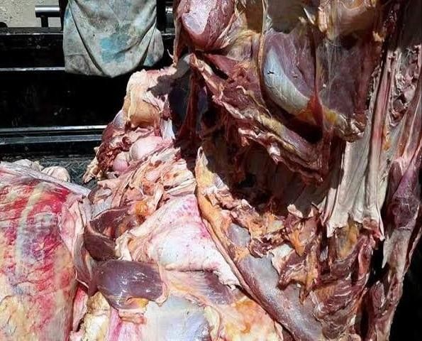 لحوم غير صالحة للاستخدام الآدمى