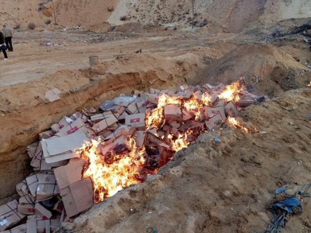 راغب علامة