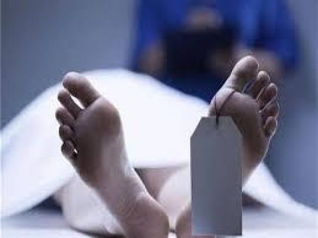 مايا دياب