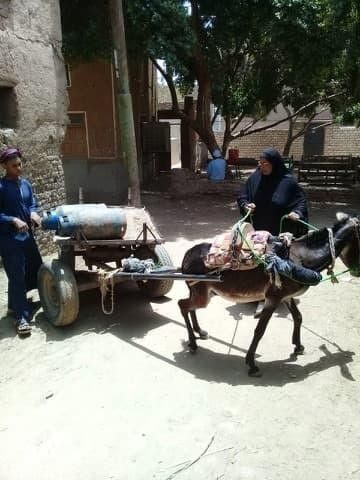 فعاليات المؤتمر عبر تطبيق