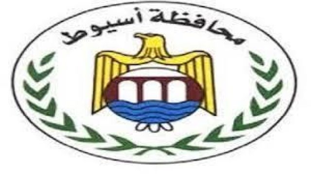 تامر عاشور