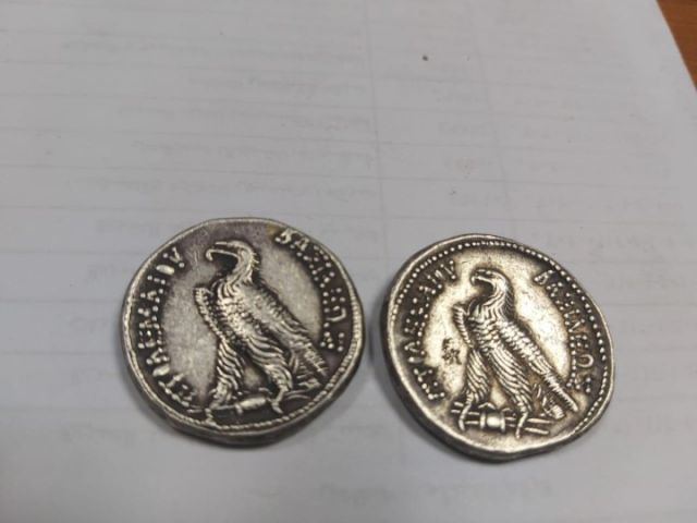 جانب من الحملة 