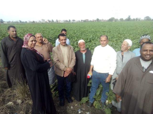 ندوة إرشادية للنهوض بالمحاصيل السكرية في دمنهور