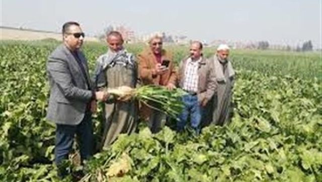 الدكتور حسن نافعة