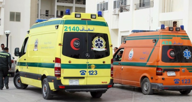 إصابة شخصين خلال سقوطهما من القطار بـ المنيا | حوادث | جريدة الديار