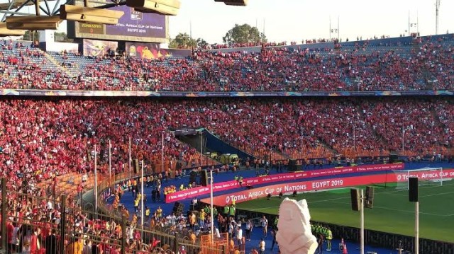 استاد القاهرة