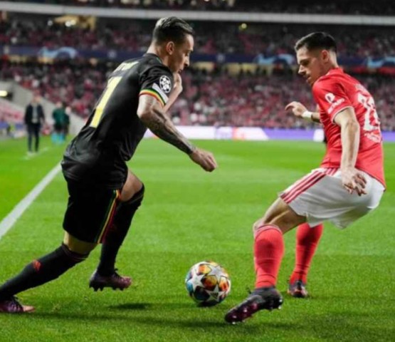 اياكس وبنفيكا في دوري أبطال أوروبا