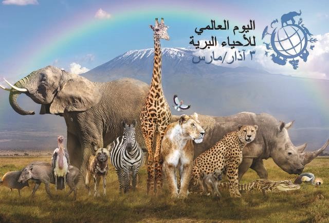 مصر تشارك في اليوم العالمي للحياة البرية على مواقع التواصل الاجتماعي