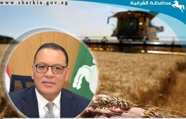 محافظ الشرقية يتفقد سير توريد القمح لـ”الشون والصوامع”
