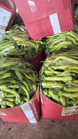 ”الديار” تتابع أسعار الخضروات والفاكهة بأسواق مدينة طور سيناء