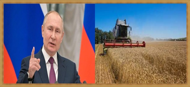 بوتن يعلن موقفه من تصدير ”حبوب أوكرانيا”