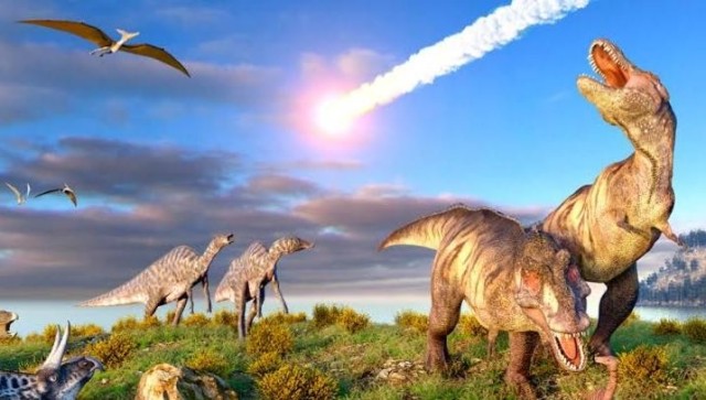 هشام سلام يكشف سر تسمية الديناصور ”هابيل”