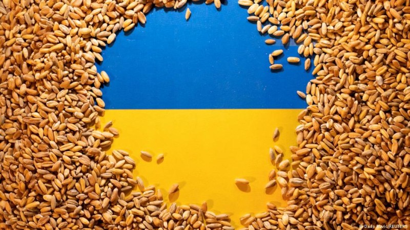 صادرات الحبوب أوكرانيا