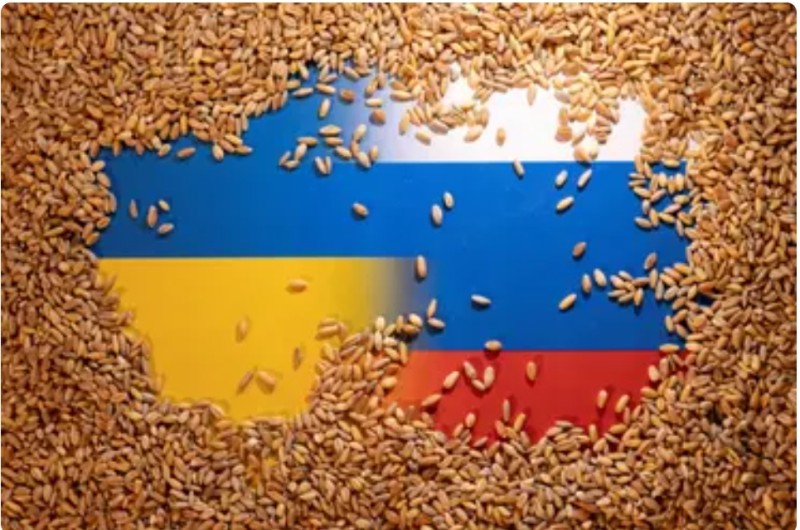 تصدير الحبوب الأوكرانية 