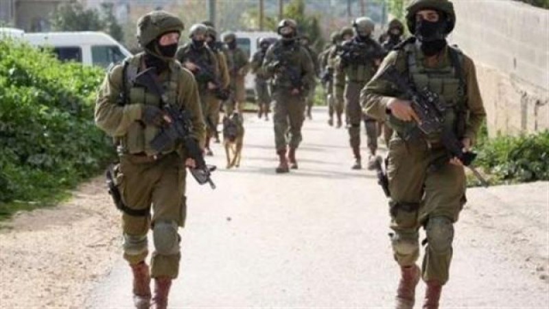 قوات الإحتلال الإسرائيلي 