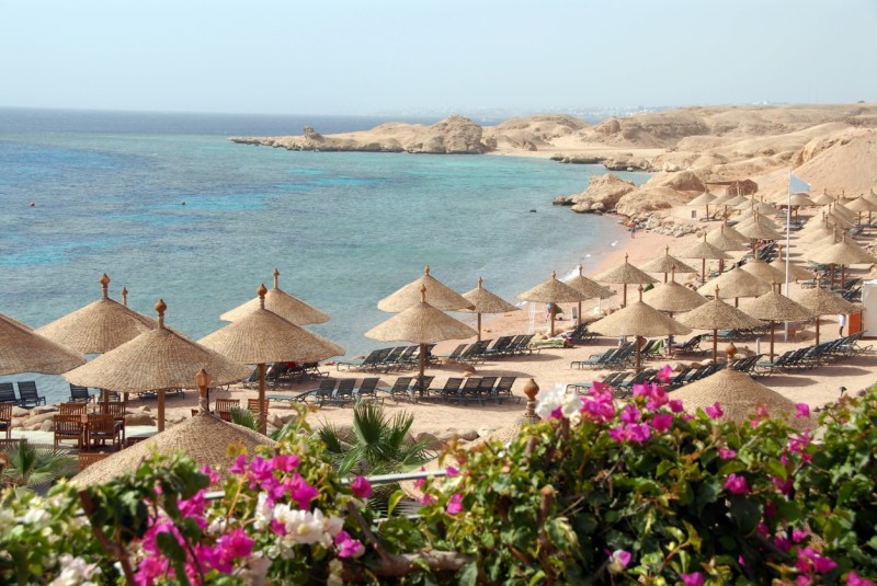 الغرف السياحية : 5 مليون طاهي معتمد في مصر