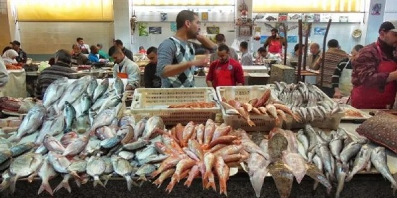 أسعار الأسماك اليوم الخميس