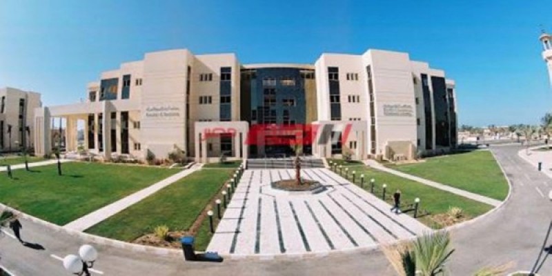 جامعة سيناء