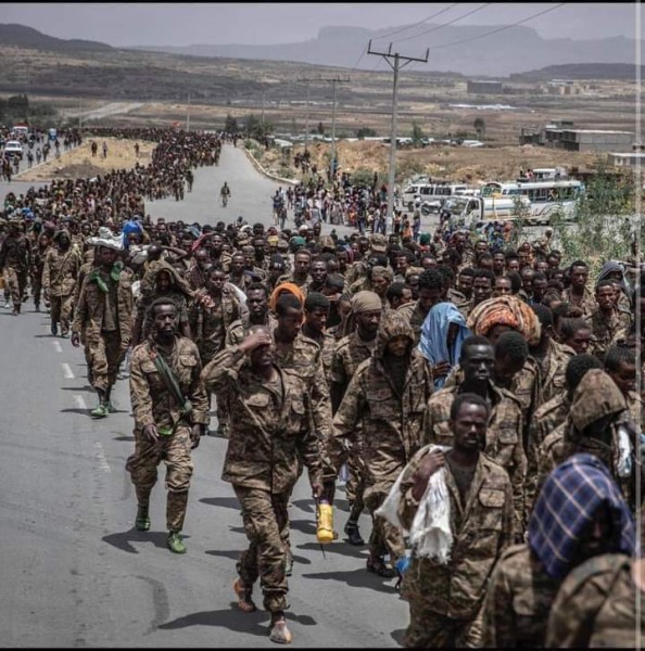 حرب تيجراي تحول إثيوبيا إلى أوكرانيا أفريقية