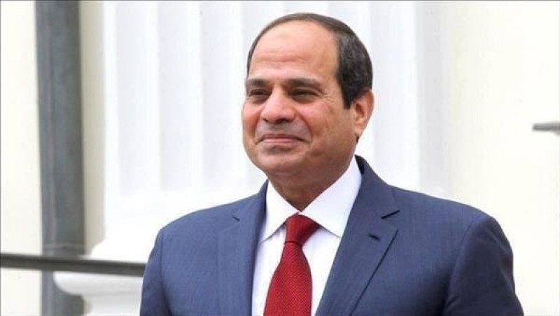 النواب: السيسي يسعى لضخ دماء جديدة في الاقتصاد المصري