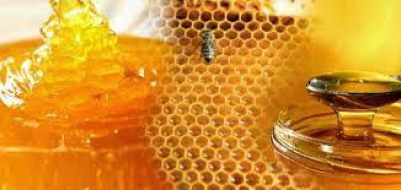 الإفراط فى تناول عسل النحل محظور على هؤلاء