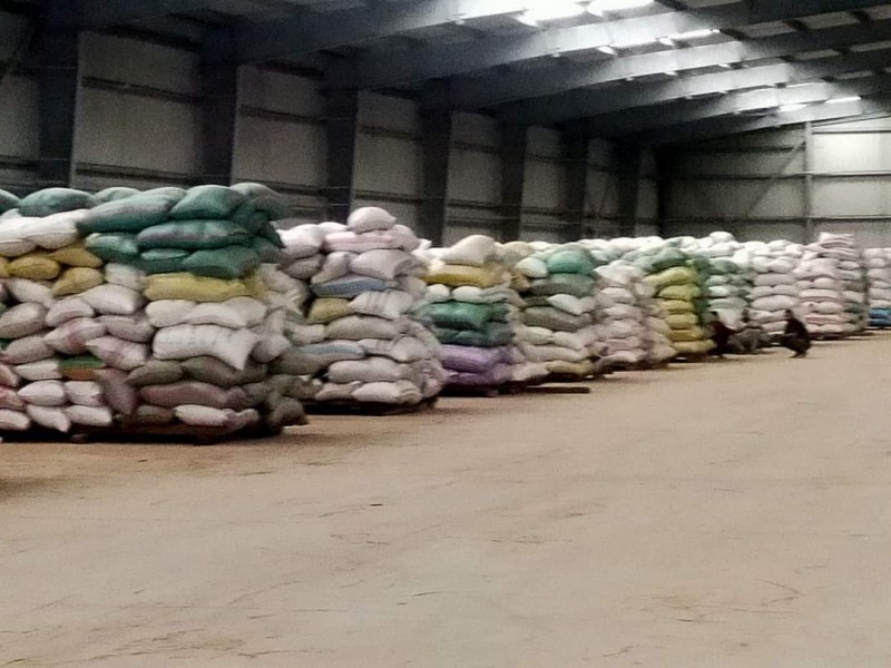 محافظ كفر الشيخ: توريد 14968 طنًا و382 كجم من محصول الأرز