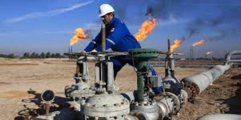 محلل سياسي: تضامن عربي واسع مع السعودية في إدارة ملف النفط