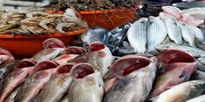 أسعار الأسماك اليوم الجمعة
