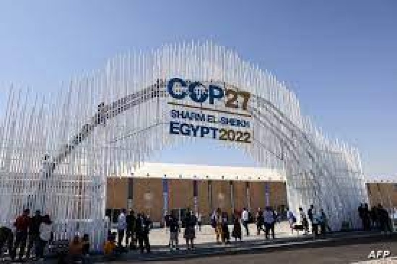 قمة المناخ COP27””.. بداية مبشرة وجهود مبذولة