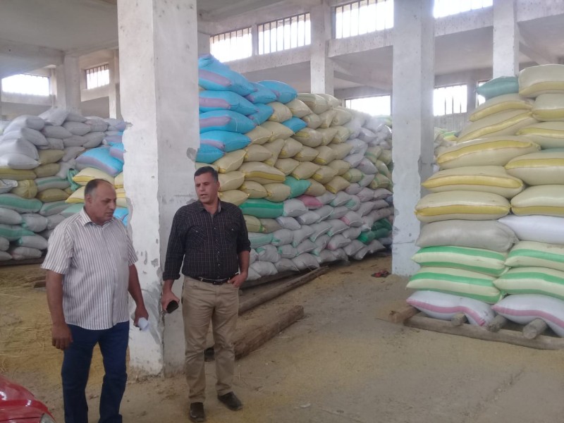 توريد 55948 طن أرز لشون المحافظة حتى صباح اليوم
