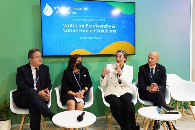 وزيرة البيئة : الأزمة العالمية الحالية للمياه تتطلب تعاونًا دوليًا اكبر