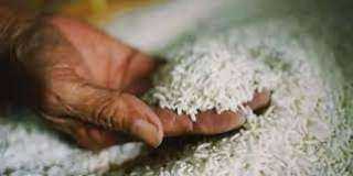 تجارية الجيزة تكشف أسعار الأرز في الأسواق
