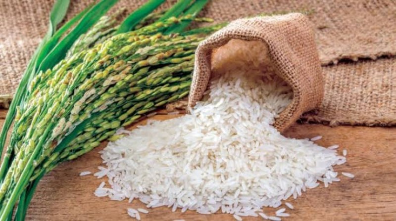 6 عقوبات على المزارعين الممتنعين عن تسليم الأرز