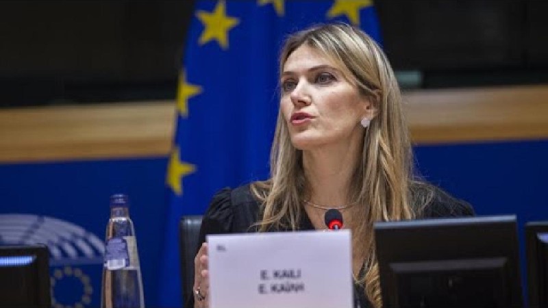 نائبة رئيسة البرلمان الأوروبي إيفا كايلي 