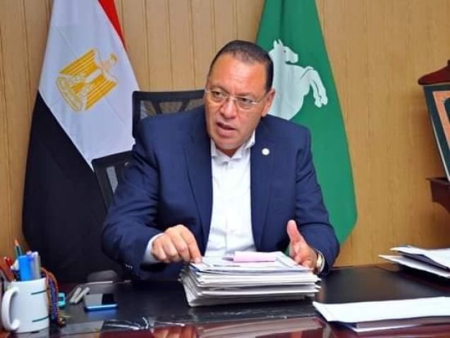 أحمد العوضي ودينا فؤاد