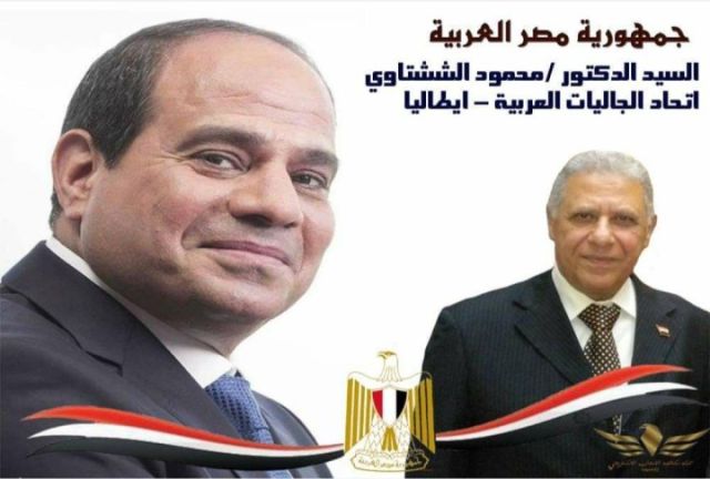 دكتور محمود الششتاوى