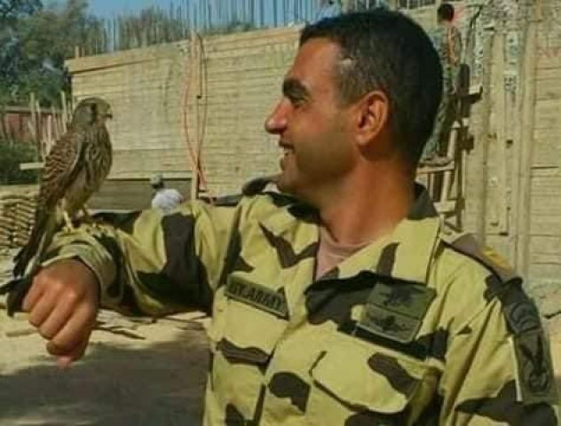 ارشيفية