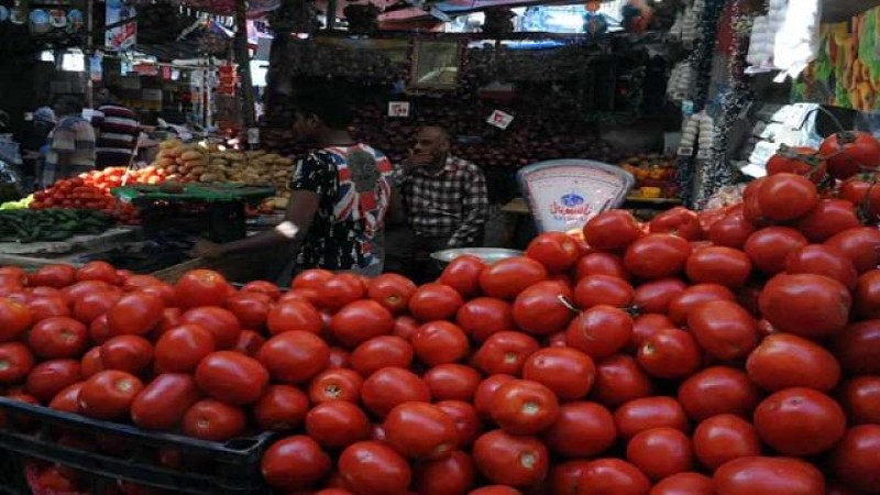”صباح الخير يا مصر” يعرض تقريرا عن تجفيف الطماطم بالأقصر