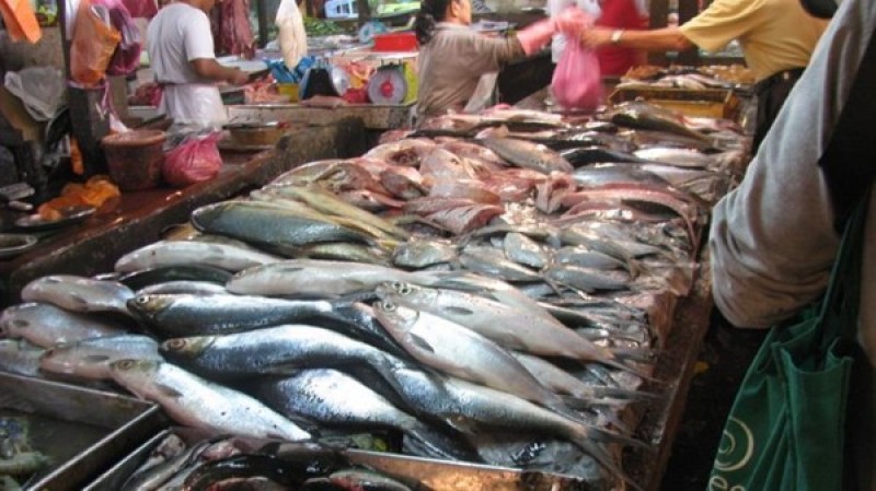 الزراعة تكشف أسباب ارتفاع أسعار الأسماك (فيديو)