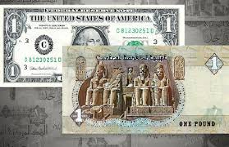 الدولار الامريكي-الجنيه المصري